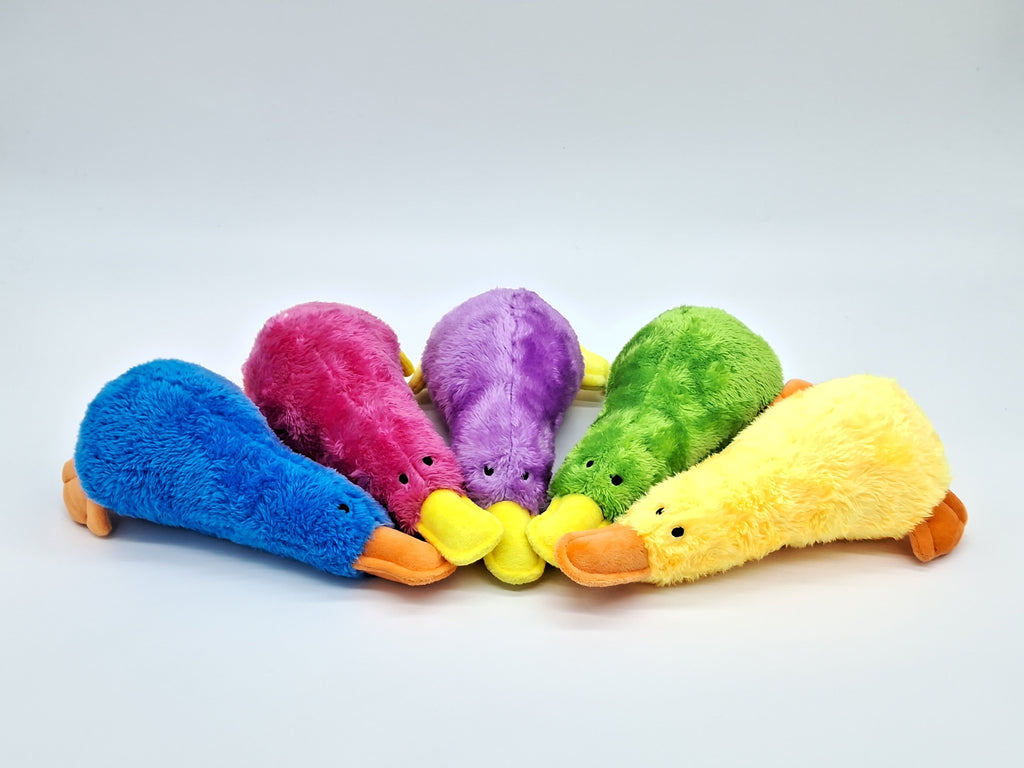 Colorful Platz the Platypus pet toy from Toys N Treats Box, made of soft fabric with squeaker for dogs.