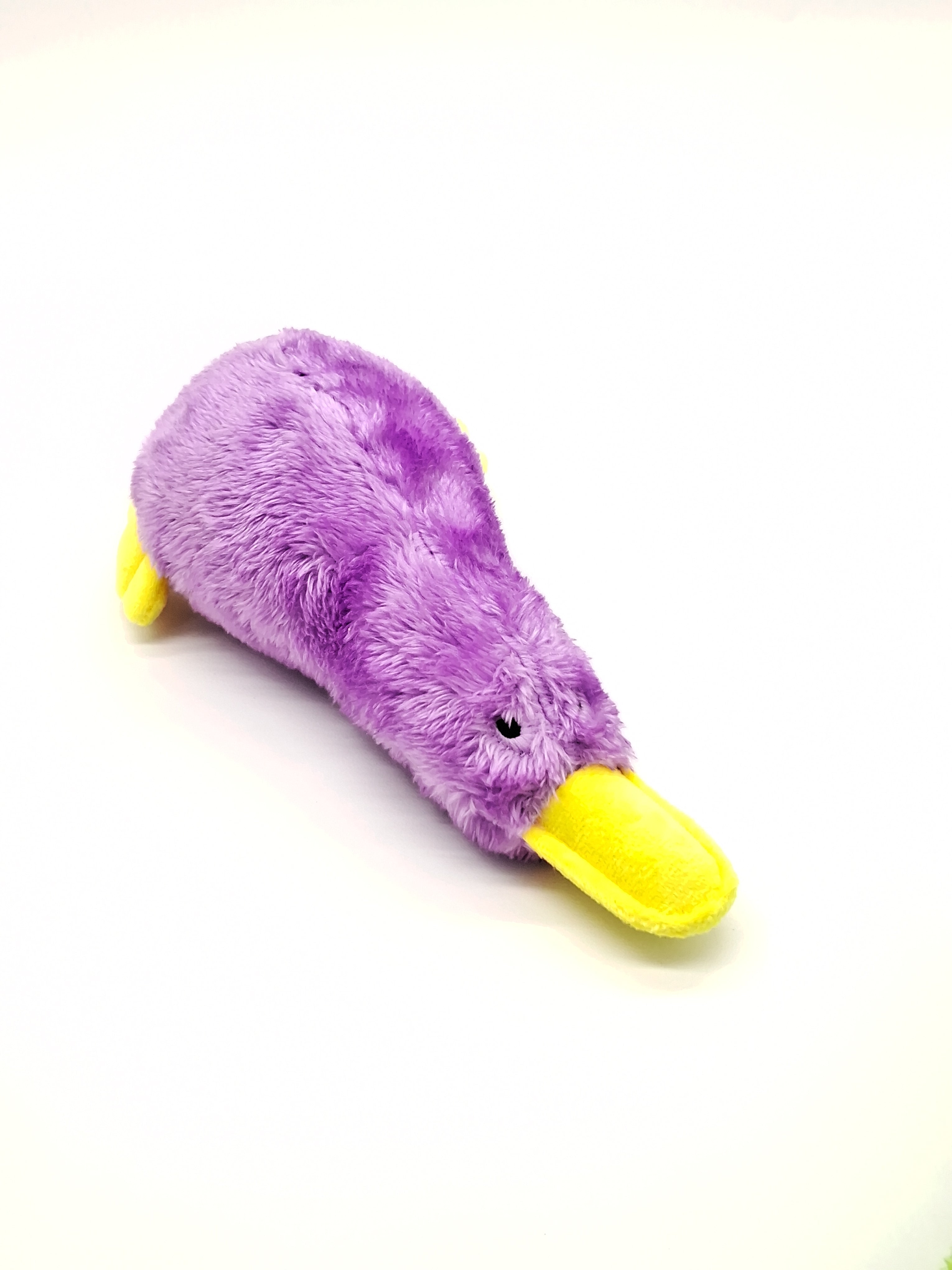 Colorful Platz the Platypus pet toy from Toys N Treats Box, soft plush material, ideal for dogs and cats to play and chew.