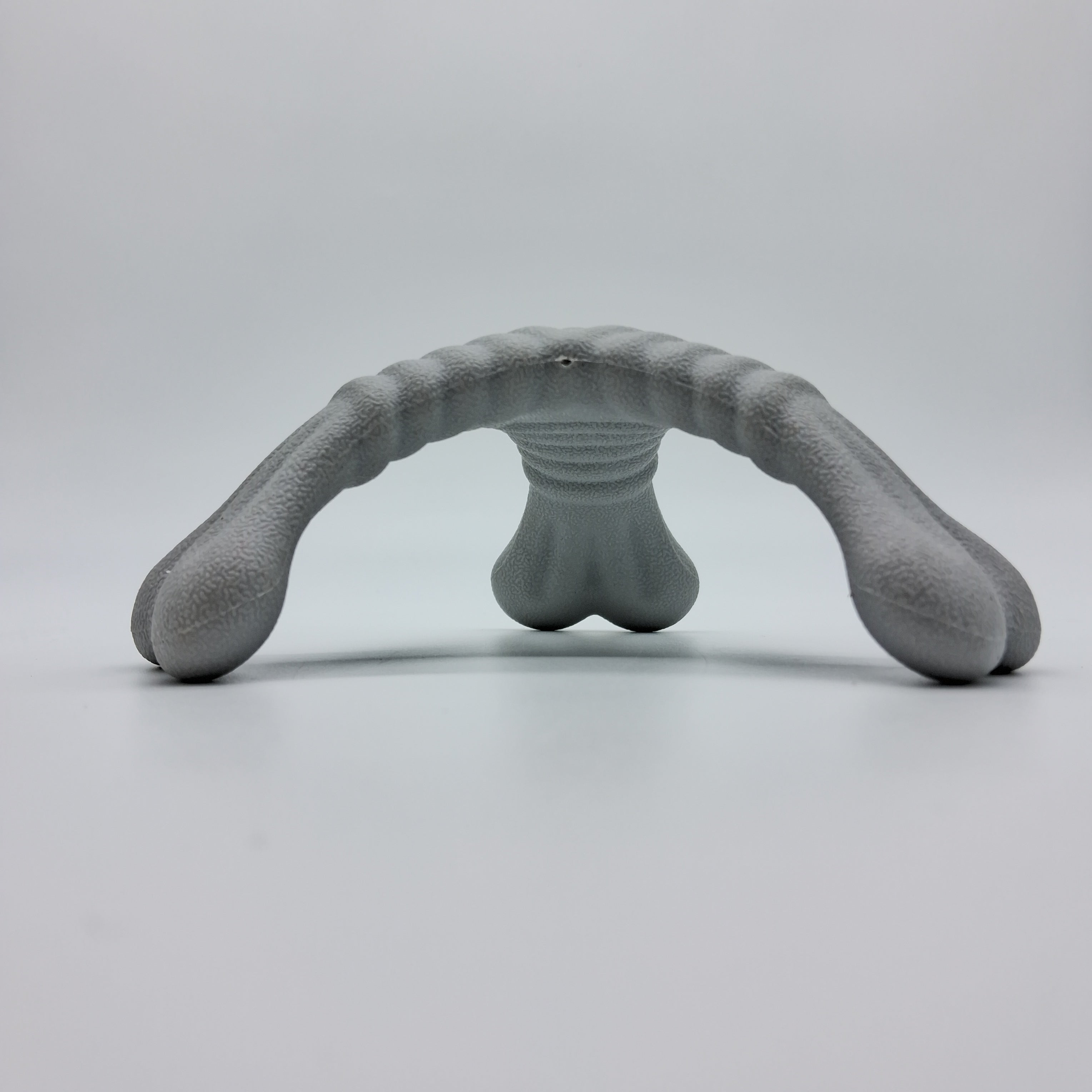 Large Tri-Bone XL pet toy from Toys N Treats Box, durable chew toy for dogs with multiple bone shapes and textures.