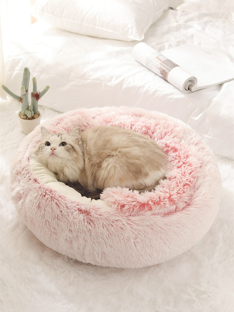 Cozy 2-in-1 pet bed by My Store featuring a soft, plush surface with a removable cushion for small dogs or cats.