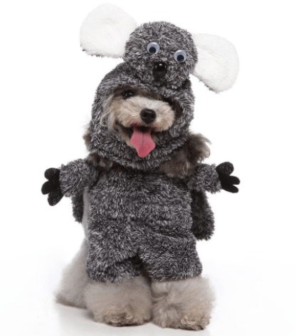 Funny cartoon dog pet costume from Dog Hugs Cat, perfect for Halloween and Christmas dress-up for dogs.
