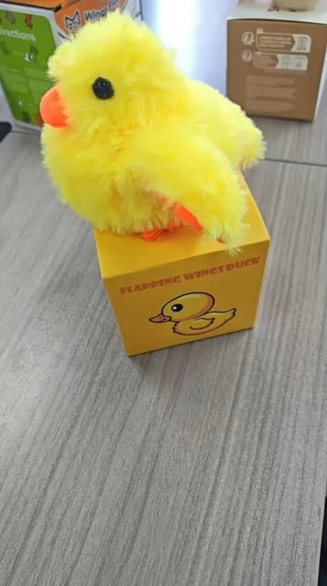 Soft plush bird-shaped pet toy with colorful feathers, designed for cats and small dogs, by My Store.