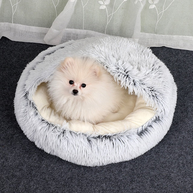 Soft 2-in-1 pet bed by My Store, featuring cozy cushion and removable cover for dogs and cats.