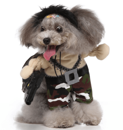 Cute cartoon dog Halloween and Christmas costume for pets by Dog Hugs Cat, featuring a playful pet outfit with festive design.