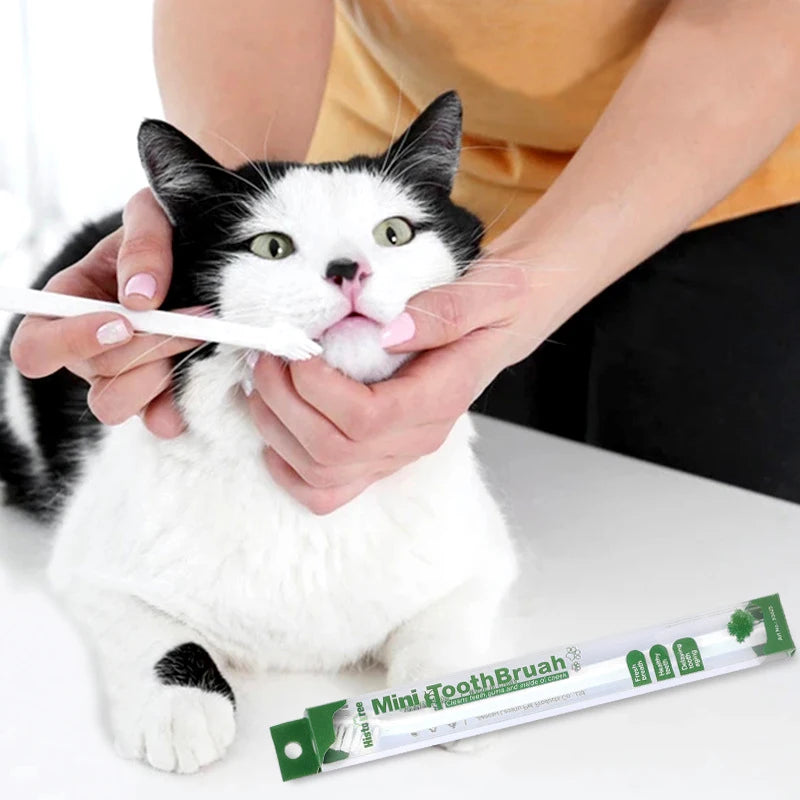 Pet Essentials Hub Vet Recommended Dog Toothbrush Micro Head Dental Kit for effective pet dental care.