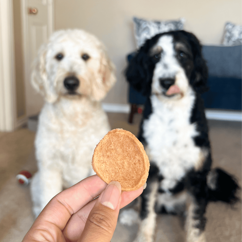 Farm to Pet chicken chips dog treats in 12oz bag, natural single-ingredient treats for dogs, shown with two dogs.