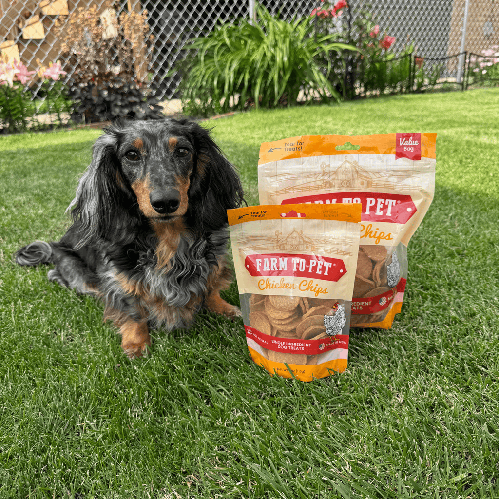 Farm To Pet chicken chips dog treats in 4oz and 12oz bags, natural single-ingredient treat for dogs, featuring crispy chicken chips.