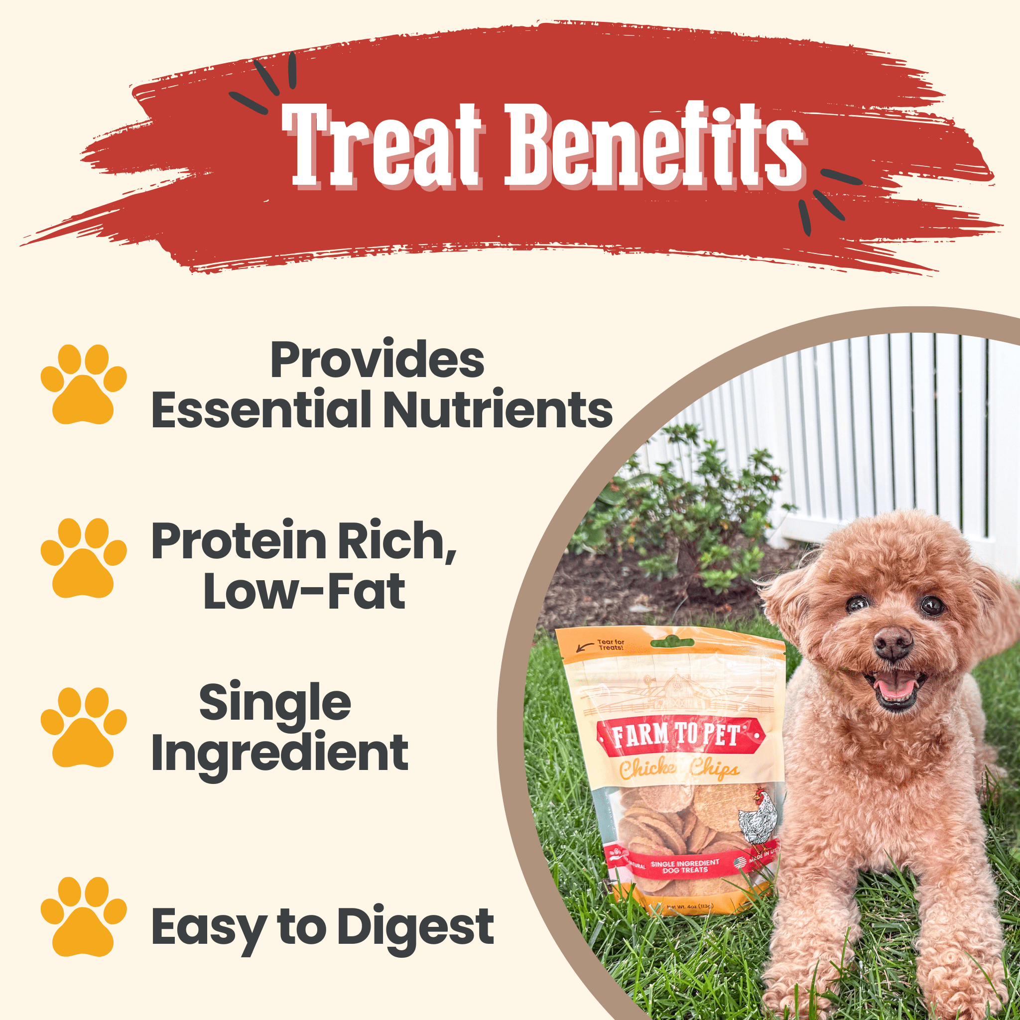 Farm To Pet Chicken Chips for Dogs, all-natural single-ingredient dog treats, showing crispy chicken chips in a 4oz bag.