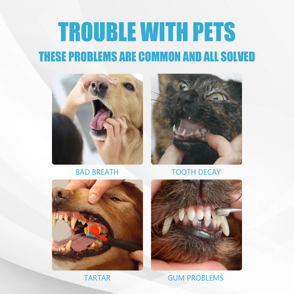 Pet Essentials Hub pet toothpaste for cats and dogs, dental care formula, showing the tube with mint-flavored dental product for pets.