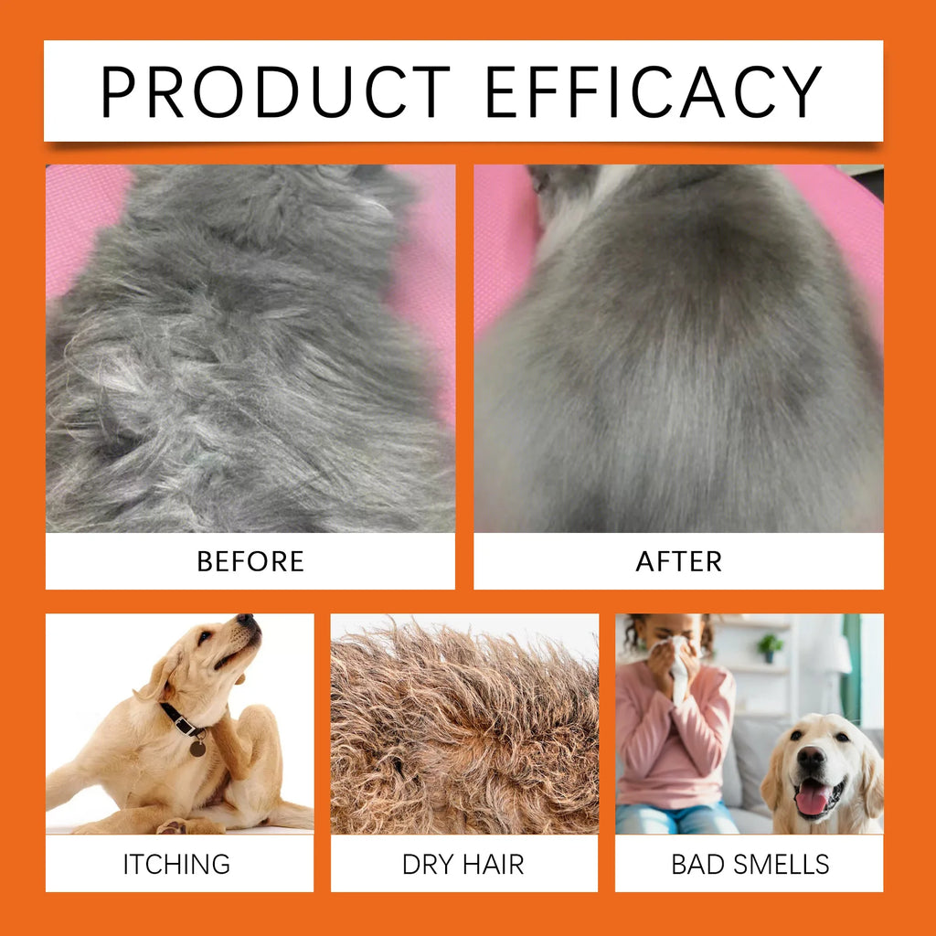 Natural Pet Shampoo for dogs and cats by Pet Essentials Hub, gentle grooming formula with soothing ingredients.