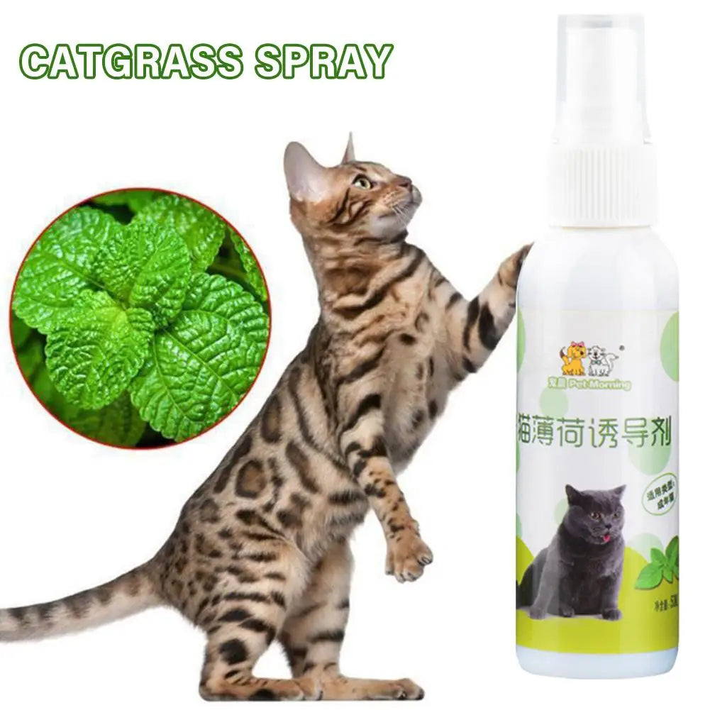 20/50ml Cat Catnip Spray Healthy Ingredients Catnip Spray For Kittens Cats & Attractant Easy To Use & Safe For Pets Gift For Pet