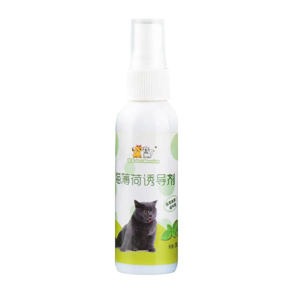 20/50ml Cat Catnip Spray Healthy Ingredients Catnip Spray For Kittens Cats & Attractant Easy To Use & Safe For Pets Gift For Pet