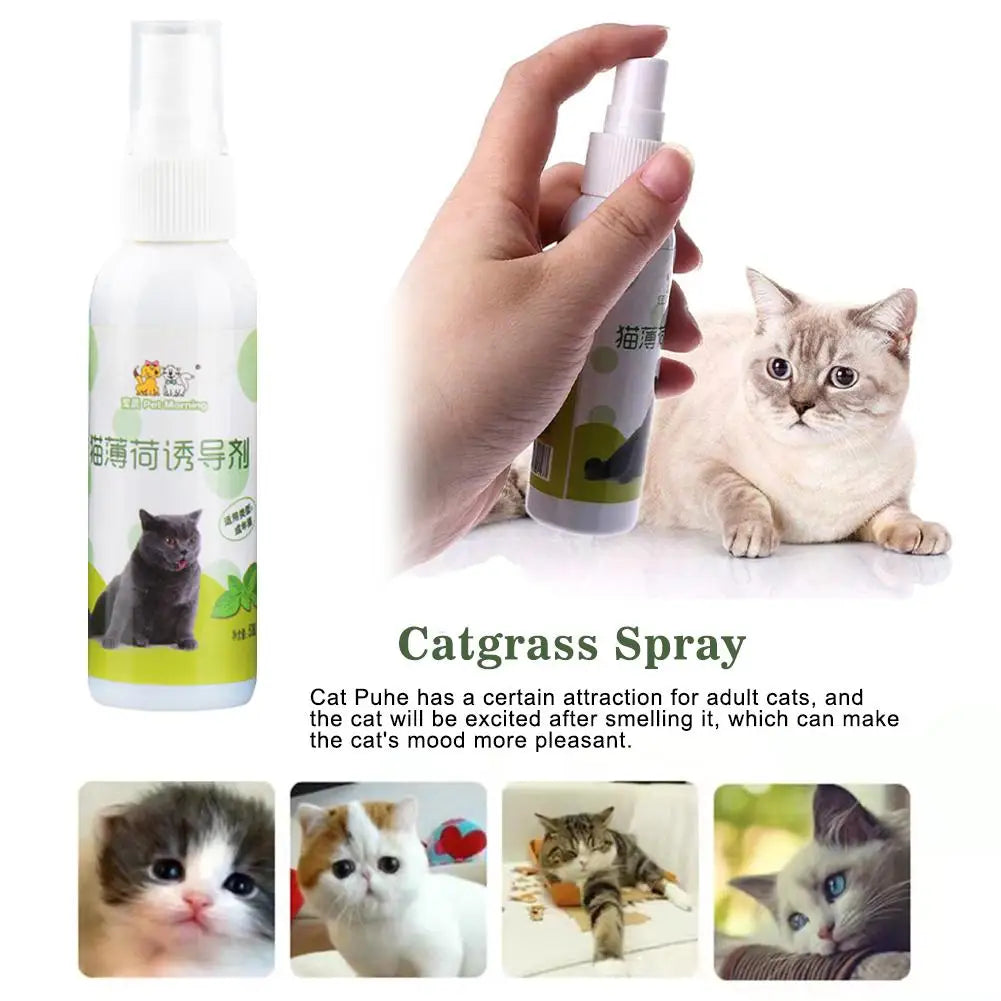 20/50ml Cat Catnip Spray Healthy Ingredients Catnip Spray For Kittens Cats & Attractant Easy To Use & Safe For Pets Gift For Pet