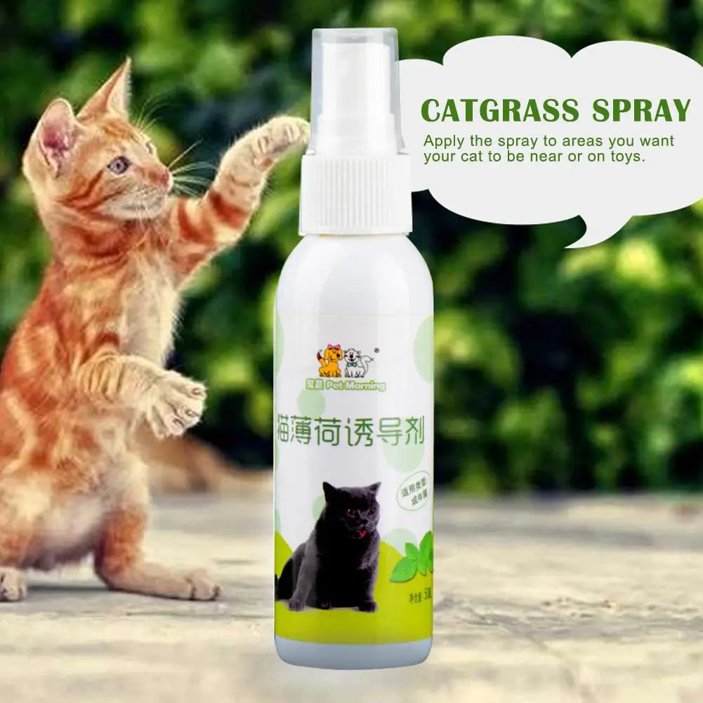 20/50ml Cat Catnip Spray Healthy Ingredients Catnip Spray For Kittens Cats & Attractant Easy To Use & Safe For Pets Gift For Pet