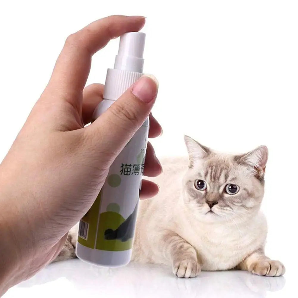 20/50ml Cat Catnip Spray Healthy Ingredients Catnip Spray For Kittens Cats & Attractant Easy To Use & Safe For Pets Gift For Pet