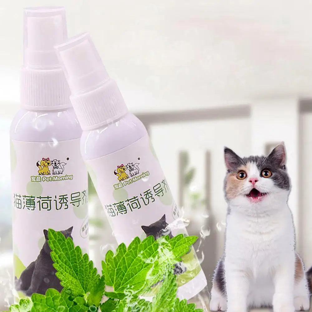 20/50ml Cat Catnip Spray Healthy Ingredients Catnip Spray For Kittens Cats & Attractant Easy To Use & Safe For Pets Gift For Pet