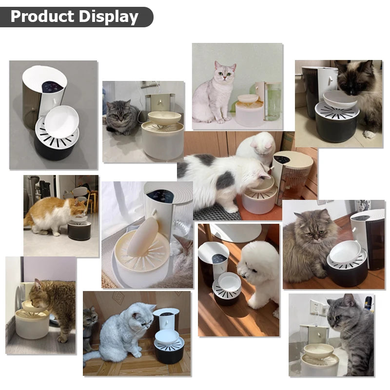 Wireless Smart Pet Water Dispenser by AllDay Goods, a sleek cat and dog fountain with a modern design for clean hydration.