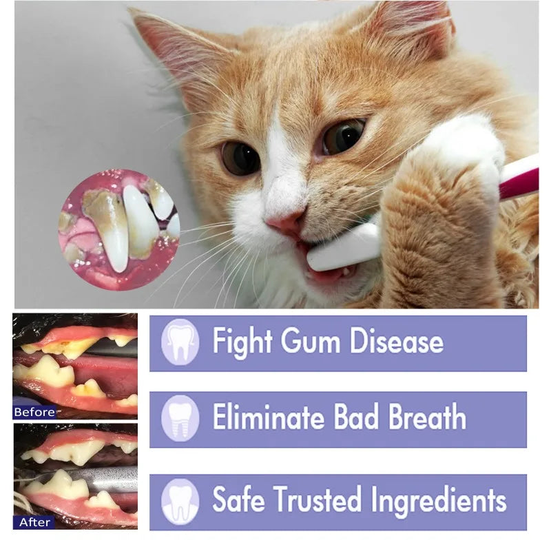 Pet Essentials Hub pet toothpaste for cats and dogs, dental care formula in a squeeze tube with a pet toothbrush.