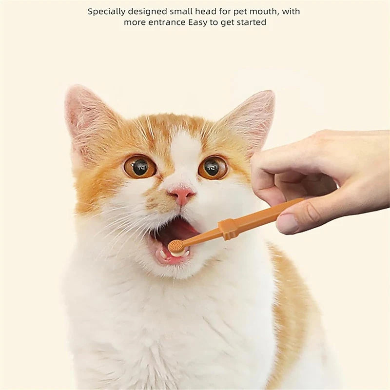 Pet Essentials Hub pet teeth whitening silicone toothbrush kit for effective pet dental care, shown with brushes and cleaning tools.