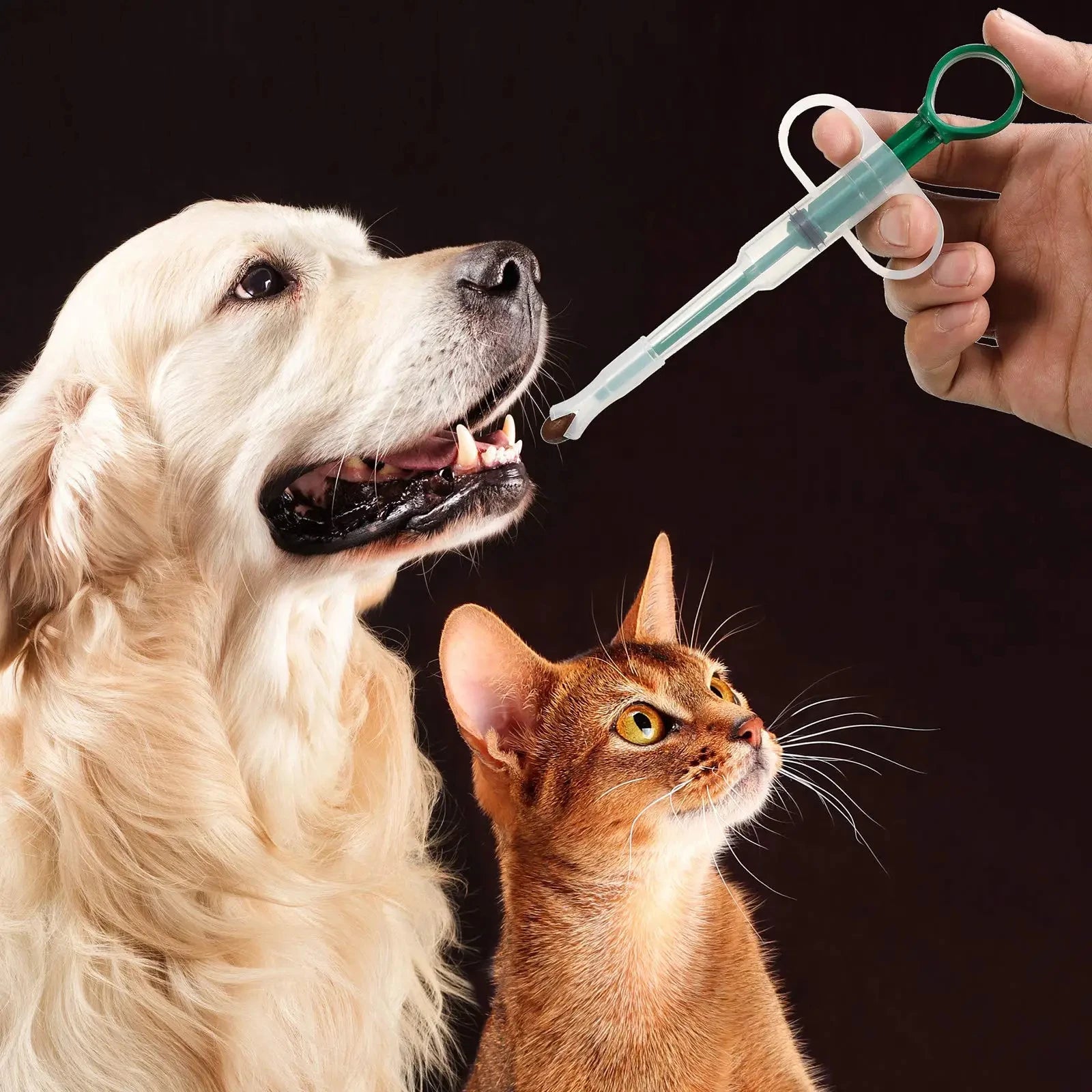 Pet medication dispenser stick for cats and dogs, used for easy pill feeding and medication administration.