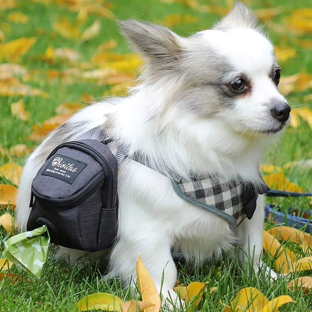 AllDay Goods portable dog training treat pouch with adjustable strap and multiple compartments for travel and training.