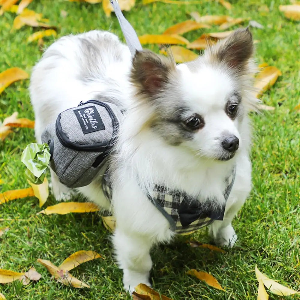 AllDay Goods portable dog training treat pouch, multifunction travel bag for dog training and outdoor walks.