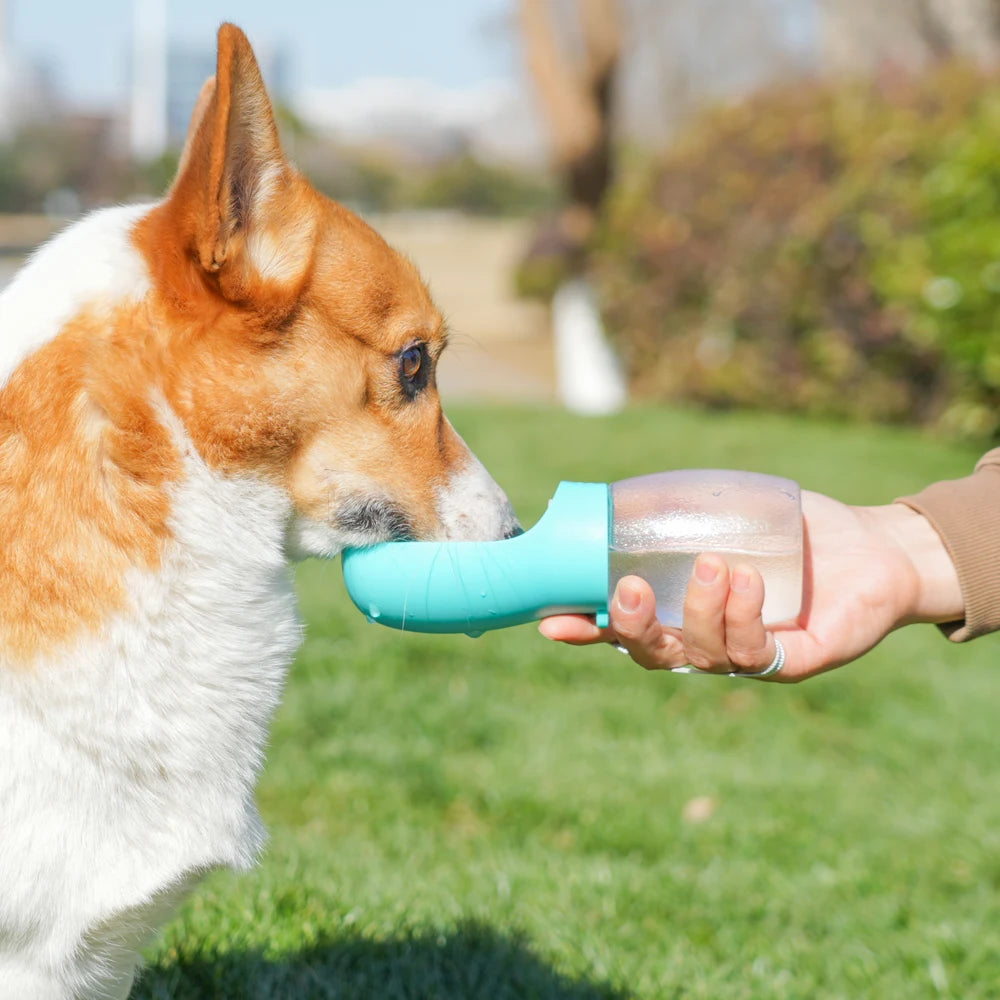 Portable Pet Water Bottle and Feeder from Pet Essentials Hub, 300ML travel water dispenser for pets.