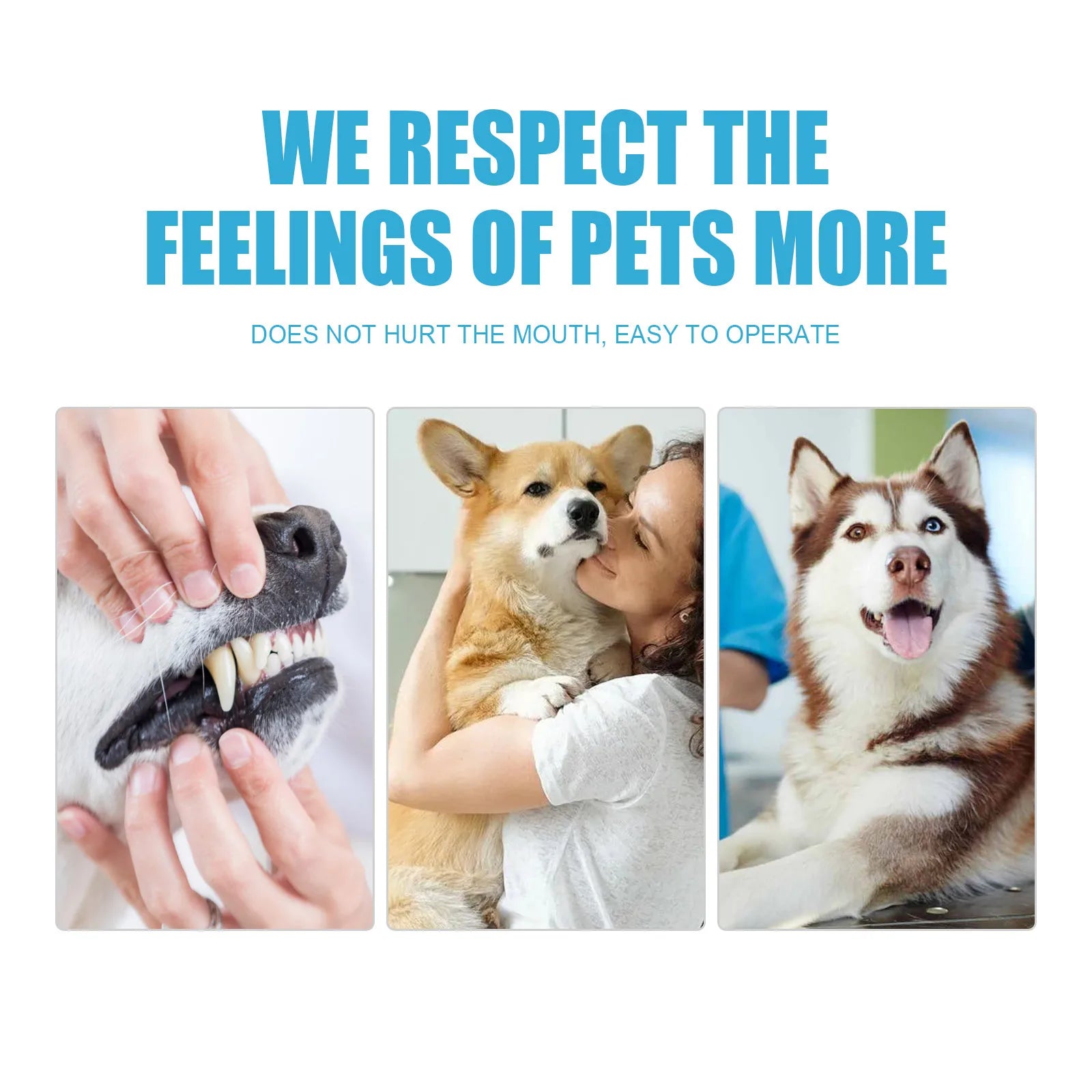 Pet Essentials Hub pet toothpaste for cats and dogs, dental care formula in a tube with a toothbrush for oral hygiene.