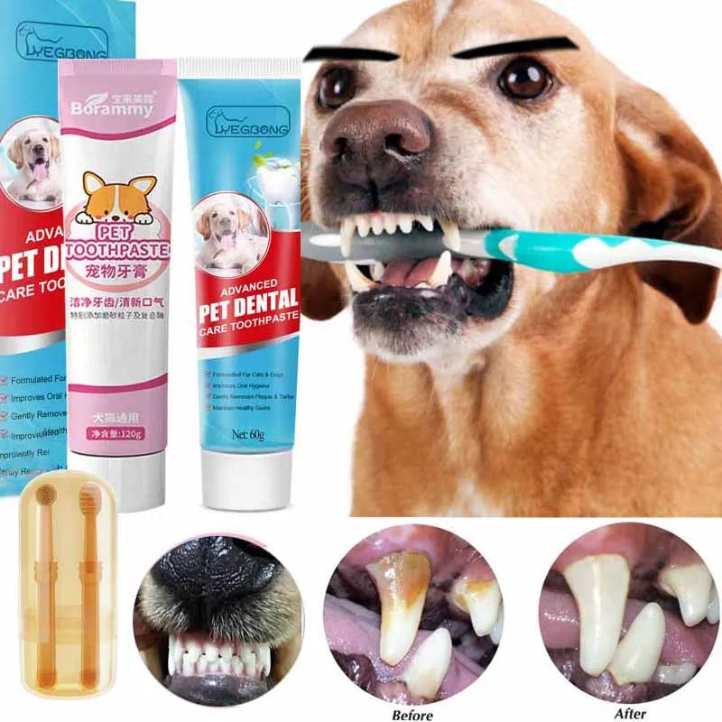 Pet Essentials Hub pet toothpaste for cats and dogs, dental care formula with a tube of pet dental toothpaste on a white background.