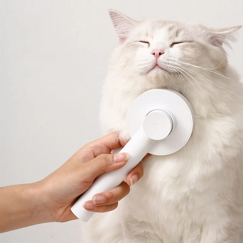 AllDay Goods cat hair cleaner brush with massage comb for pet grooming, featuring soft bristles for gentle hair removal and grooming.