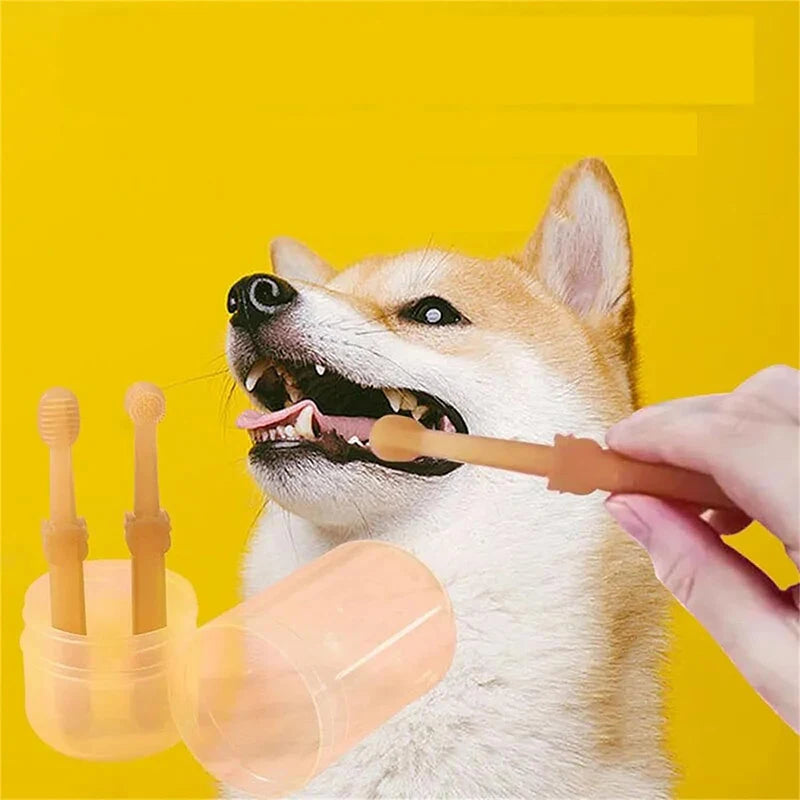 Pet Essentials Hub pet teeth whitening silicone toothbrush kit for effective pet dental care, featuring soft silicone brushes for dogs and cats.