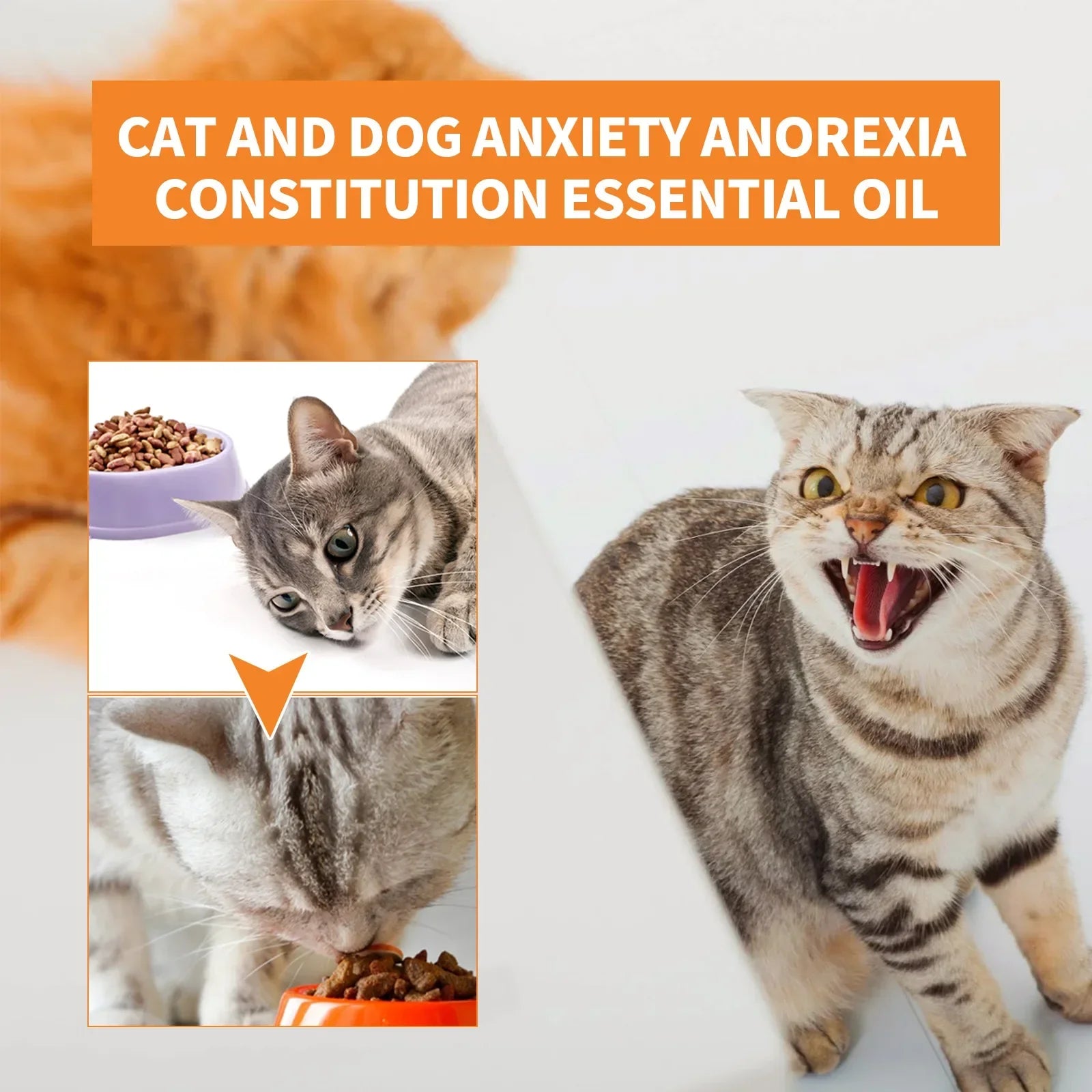 Organic pet calming drops bottle from Pet Essentials Hub, designed for pet anxiety relief and promoting relaxation.