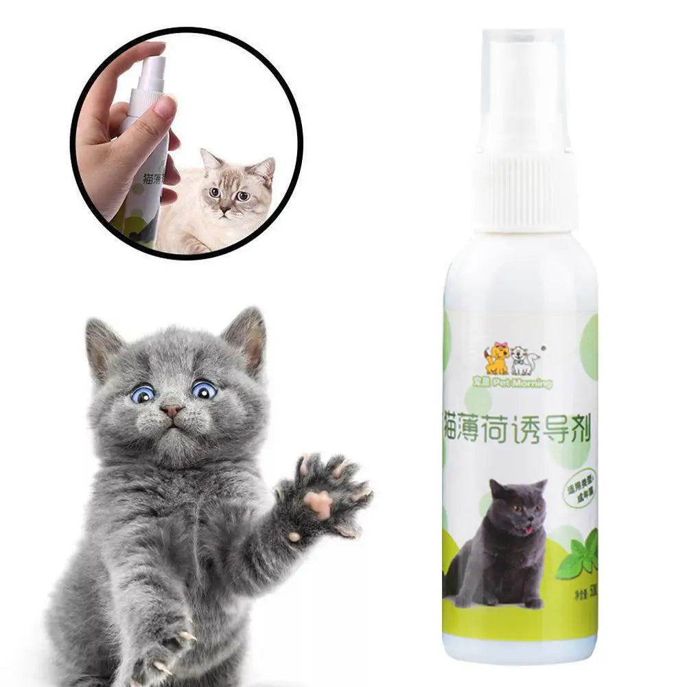 20/50ml Cat Catnip Spray Healthy Ingredients Catnip Spray For Kittens Cats & Attractant Easy To Use & Safe For Pets Gift For Pet
