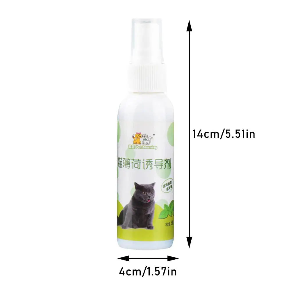 20/50ml Cat Catnip Spray Healthy Ingredients Catnip Spray For Kittens Cats & Attractant Easy To Use & Safe For Pets Gift For Pet