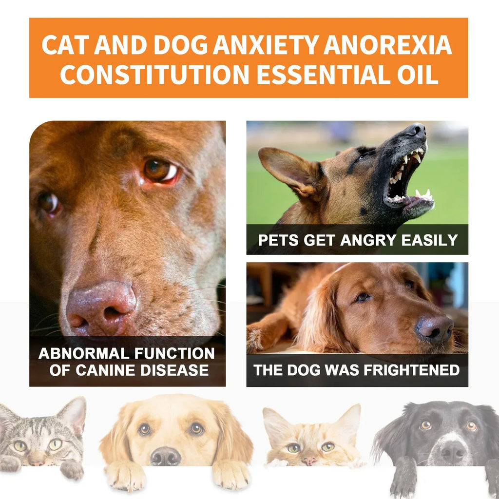Natural organic calming drops for pets, Pet Essentials Hub anxiety relief blend in a dropper bottle, soothing pet stress and anxiety.