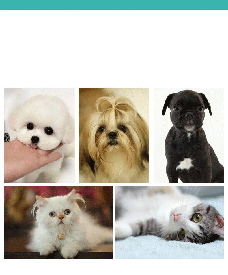 Silicone pet bath brush with massage bristles and shampoo dispenser for dogs and cats, from Pet Essentials Hub, for easy grooming.
