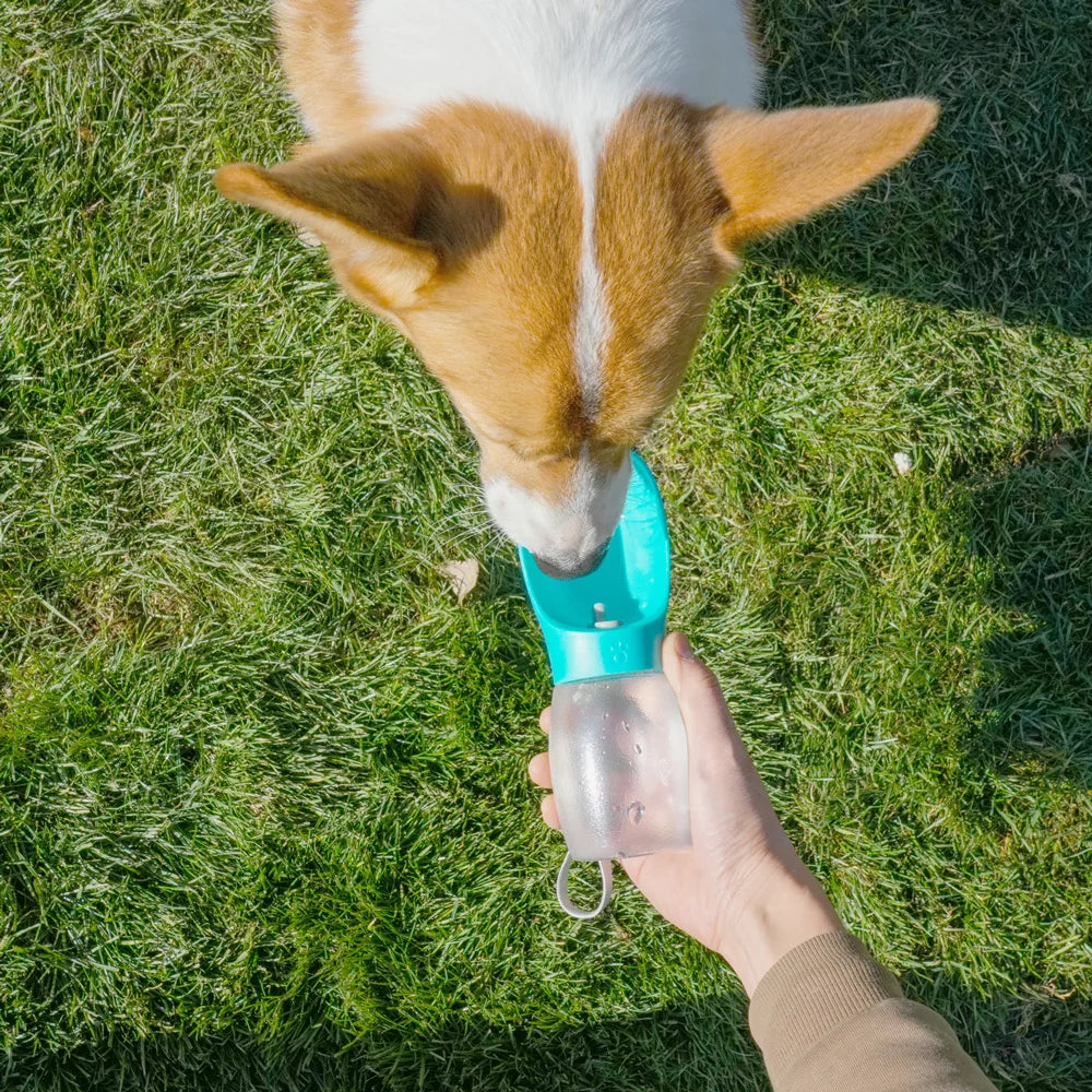Portable Pet Water Bottle by Pet Essentials Hub, 300ML travel feeder with a built-in bowl for easy pet hydration on the go.