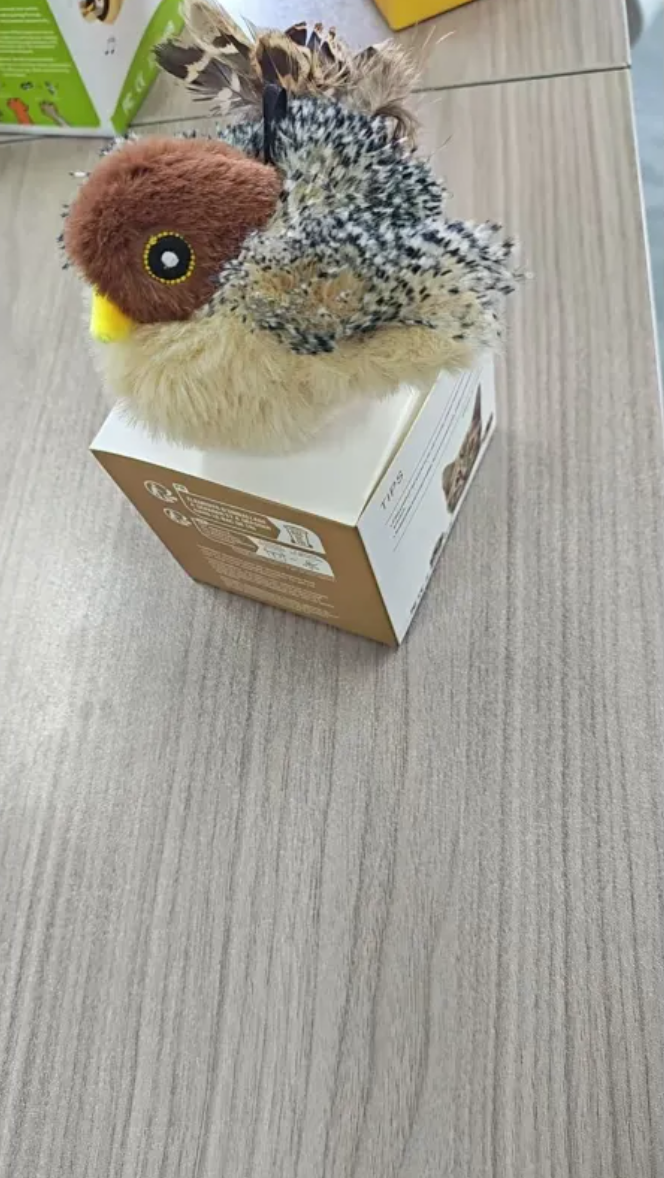 Soft plush bird pet toy with colorful feathers and a squeaker, perfect for entertaining cats and small dogs.