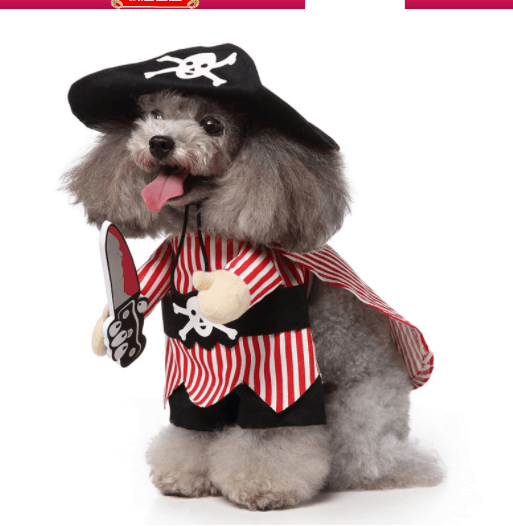 Cute cartoon dog cosplay costume by Dog Hugs Cat, perfect for Halloween and Christmas, showcasing a festive pet outfit.