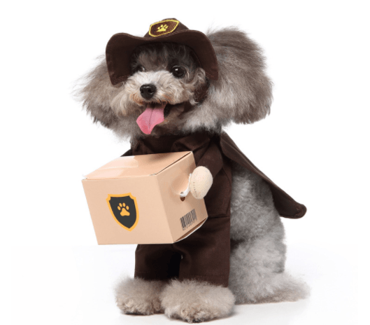 Cartoon dog Halloween and Christmas cosplay costume for pets by Dog Hugs Cat, featuring a fun, colorful pet outfit with festive details.