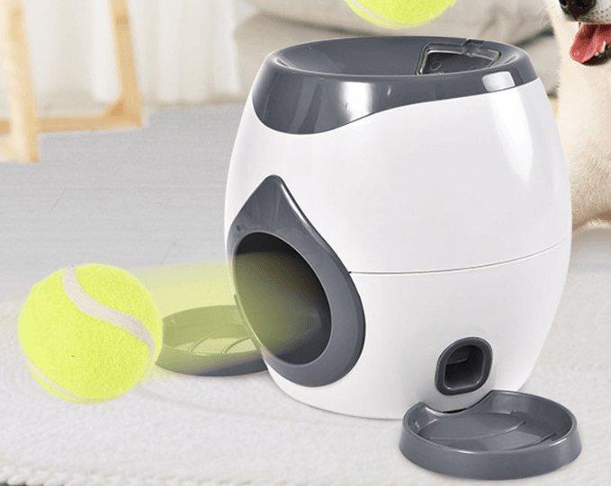 Dog Hugs Cat automatic pet training and feeding system with smart feeder and bowls for convenient dog and cat feeding.