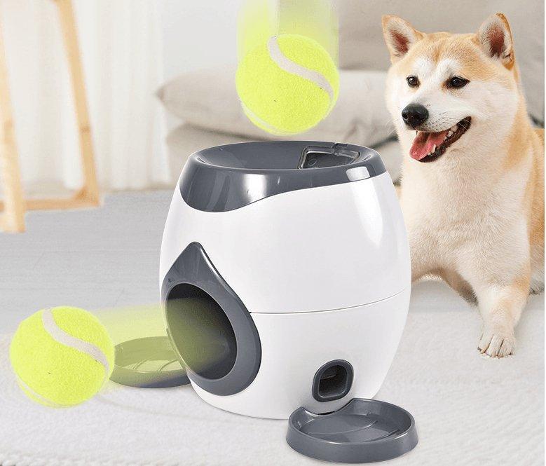 Dog Hugs Cat automatic pet training and feeding system with smart feeder and bowls for convenient dog and cat meal management.