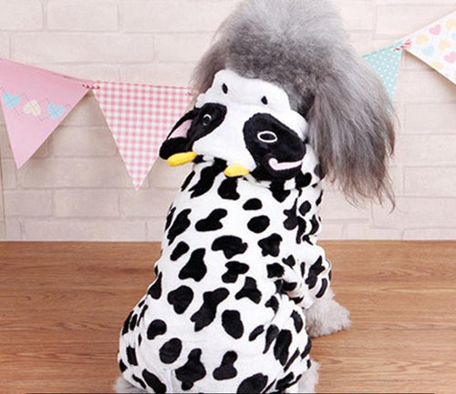 Cozy autumn winter dog costume by Dog Hugs Cat featuring a coral fleece dinosaur and lion pet outfit in cartoon style.