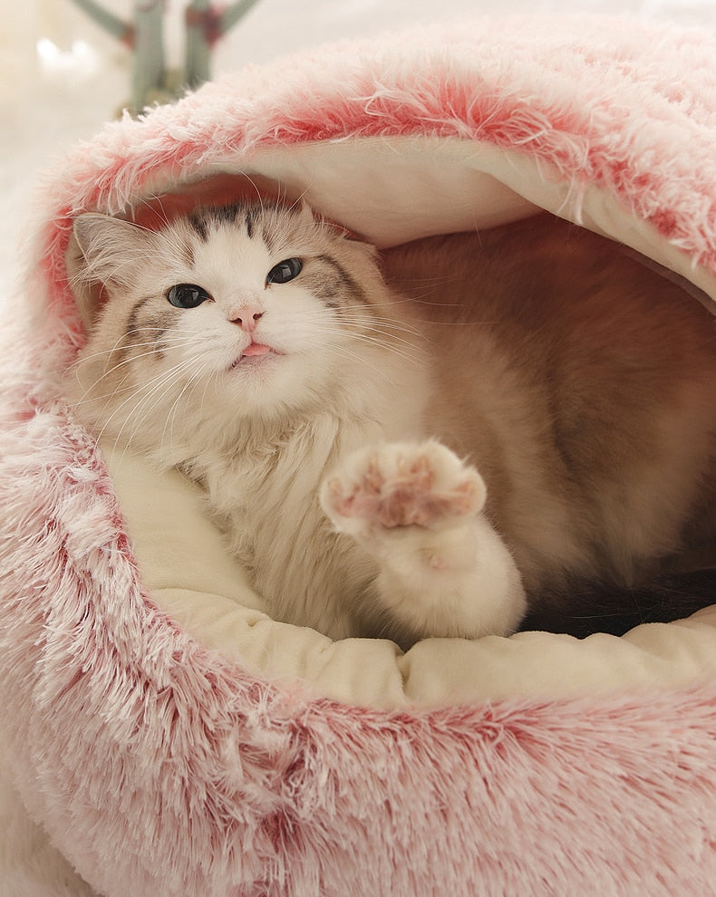 Soft 2-in-1 pet bed from My Store with cozy cushion and removable cover, ideal for small dogs and cats.
