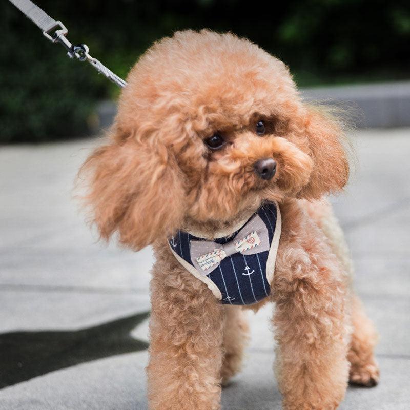 Breathable mesh pet leash for dogs and cats by Dog Hugs Cat, featuring a lightweight, comfortable design for outdoor walks.
