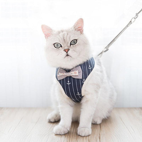 Breathable mesh pet leash for dogs and cats by Dog Hugs Cat, featuring comfortable, lightweight design with adjustable collar.