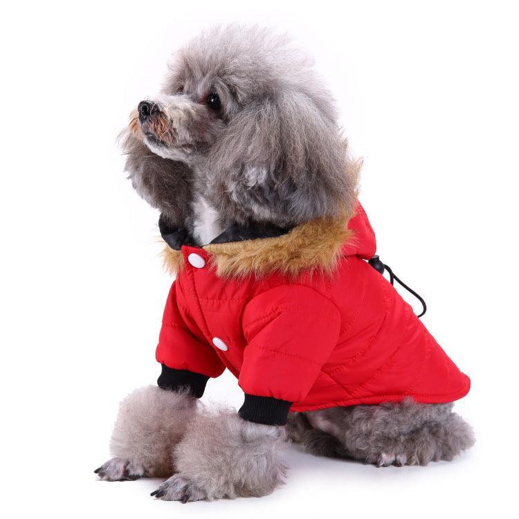 Dog Hugs Cat Cozypaws Winter Pet Jacket on a dog, warm dog coat designed for winter outdoor walks, cozy pet clothing and accessories.