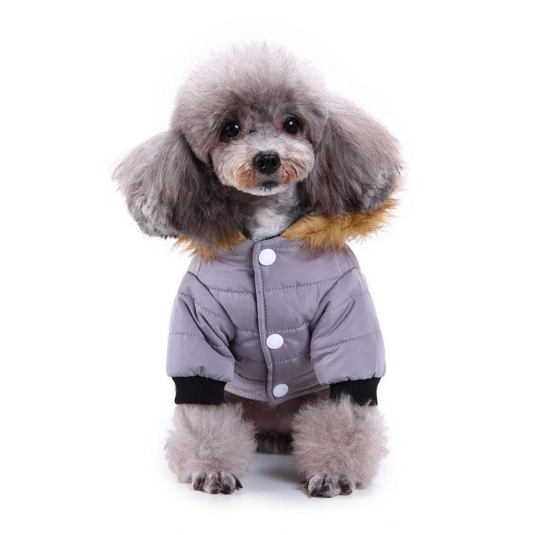 Dog Hugs Cat Cozypaws Winter Pet Jacket on a dog, warm dog coat with a cozy, insulated design for winter outdoor walks.