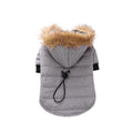 Dog Hugs Cat Cozypaws Winter Pet Jacket on a dog, cozy, warm dog coat designed for winter outdoor walks and cold weather.