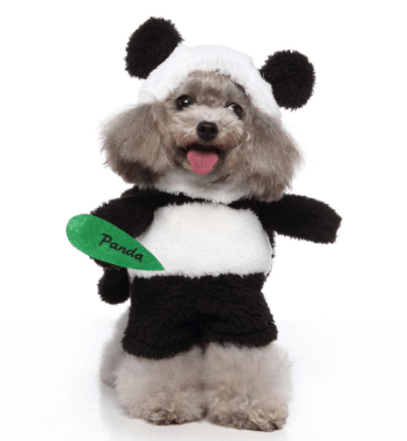 Cute cartoon dog Halloween and Christmas costume for pets from Dog Hugs Cat, featuring playful dog clothing and accessories.